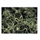 LUNA PUZZLE 100ΤΕΜ 48Χ34ΕΚ GLOW IN THE DARK SPIDERMAN