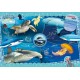 CLEMENTONI PUZZLE NATIONAL GEO KIDS OCEAN EXPLORER 104 ΤΕΜΑΧΙΑ